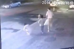 路边打野视频,揭秘街头打野的激情瞬间