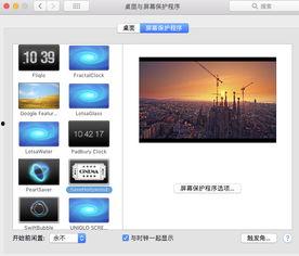 屏保视频下载