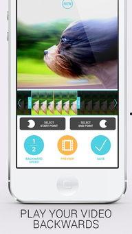 倒平板视频,挑战者们的精彩瞬间回顾